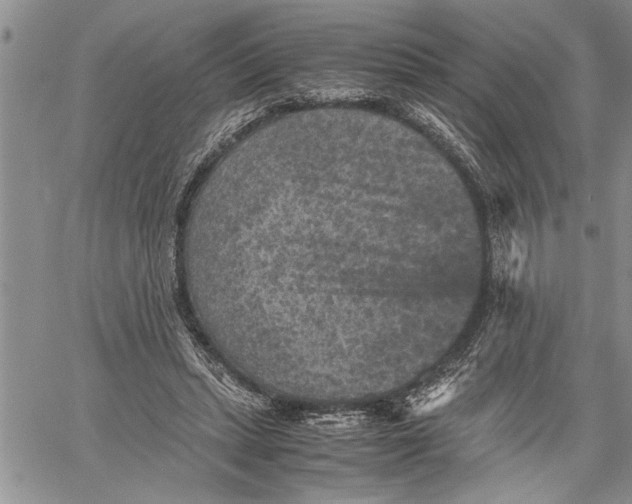 X0000060550447200511241229