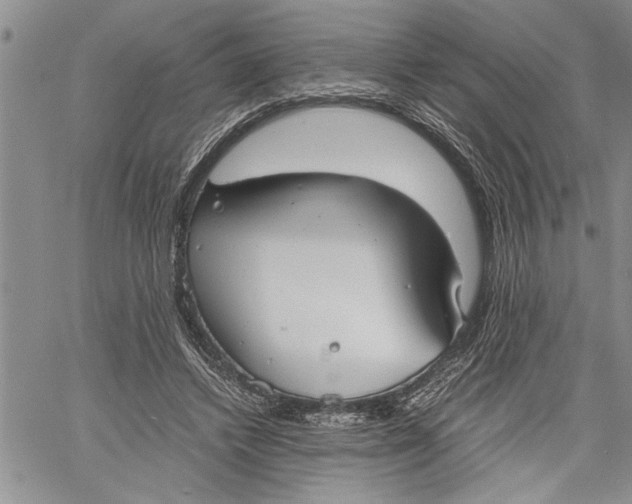 X0000060550448200511241229