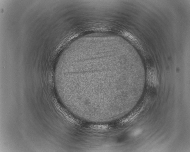 X0000060550449200511241229