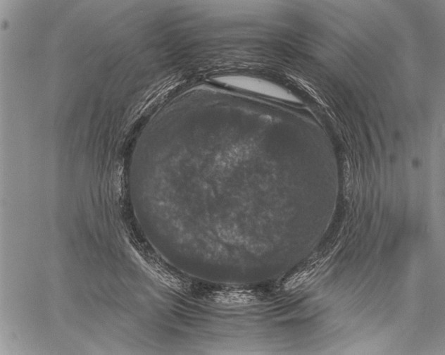 X0000060550451200511241229