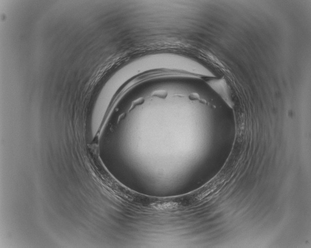 X0000060550452200511241229