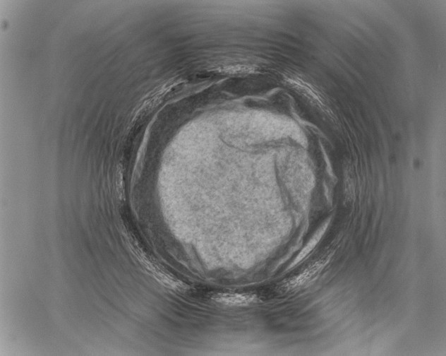 X0000060550453200511241229