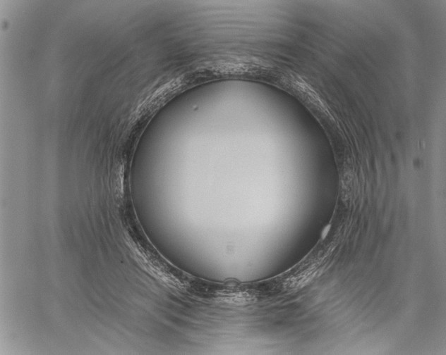 X0000060550454200511241229