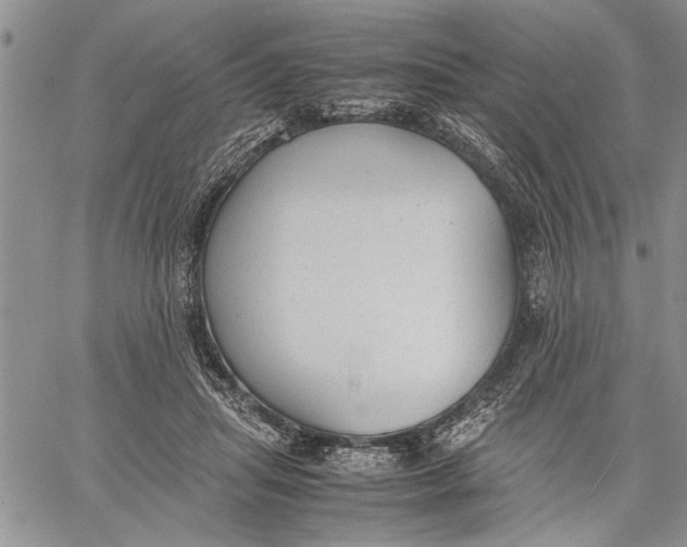 X0000060550455200511241229