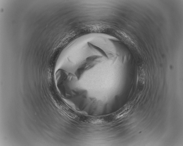 X0000060550456200511241229