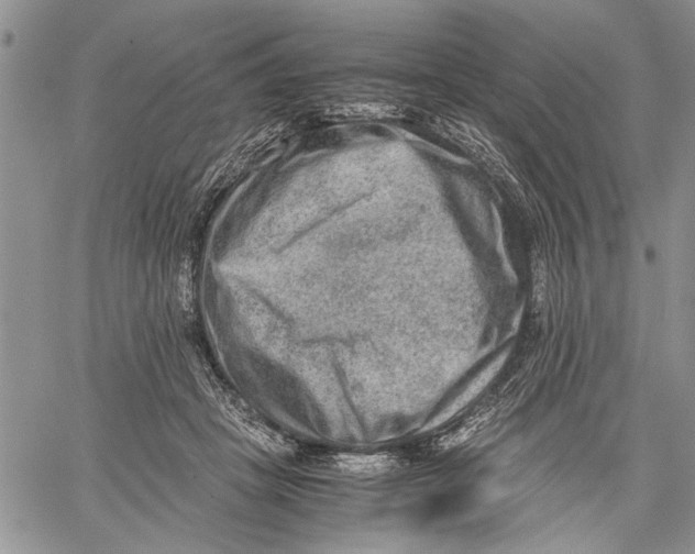 X0000060550457200511241229