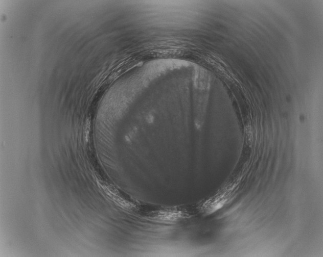 X0000060550458200511241229