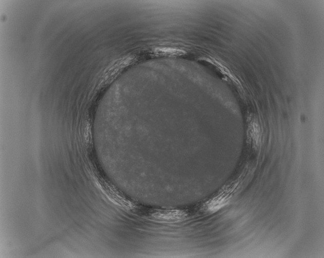 X0000060550459200511241229