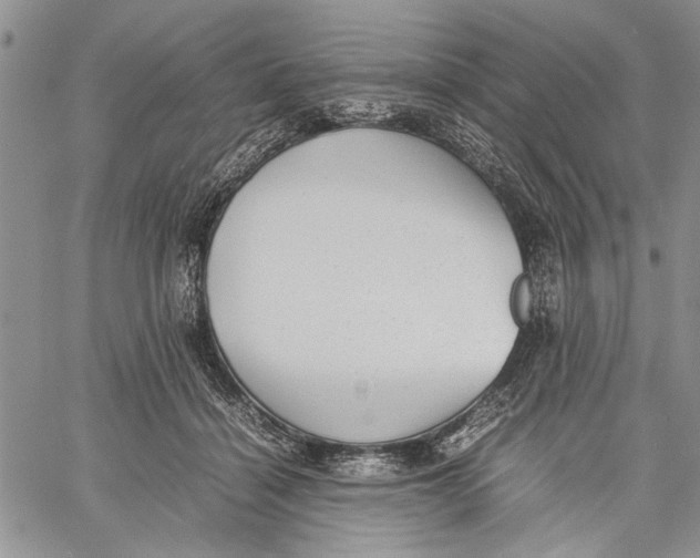 X0000060550460200511241229