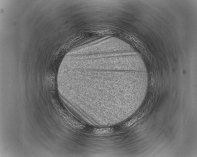 X0000060550461200511241229