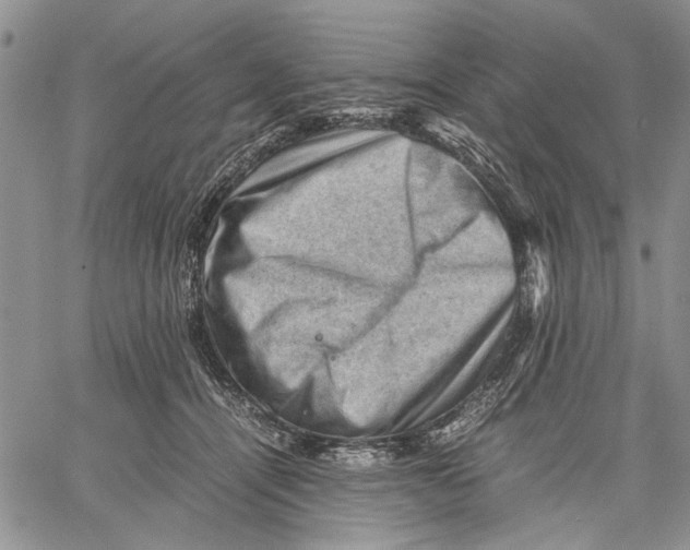 X0000060550464200511241230