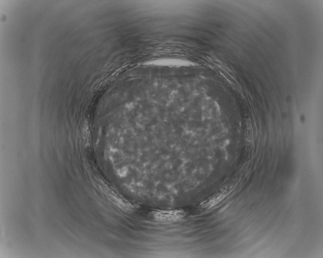 X0000060550465200511241230