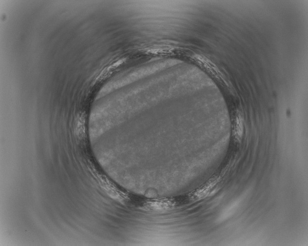 X0000060550466200511241230