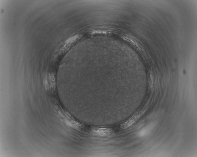 X0000060550467200511241230