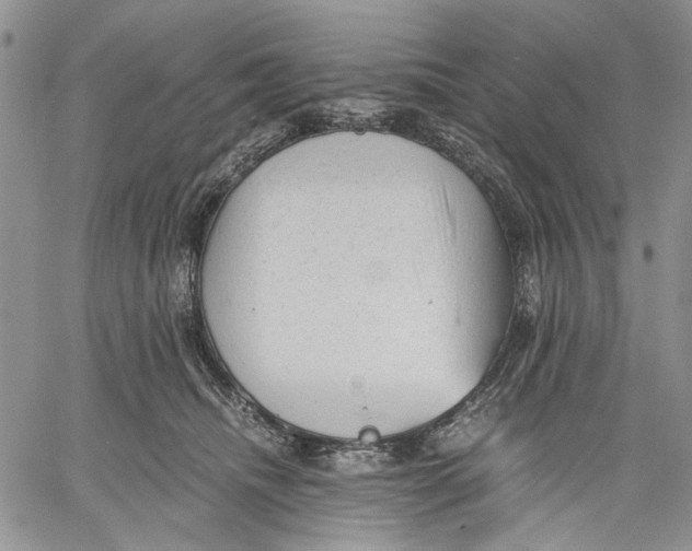 X0000060550468200511241230