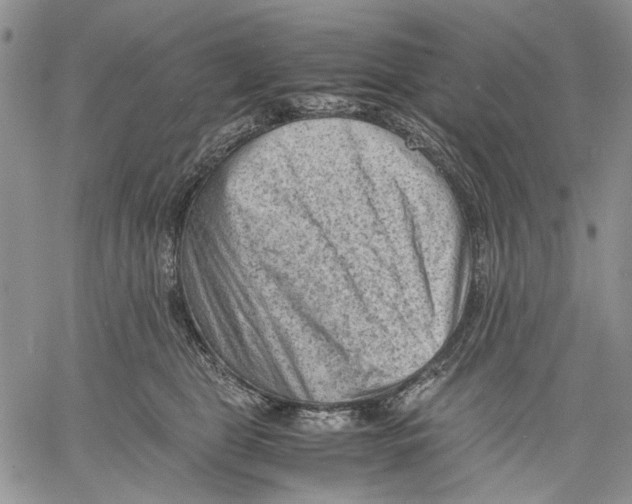 X0000060550469200511241230