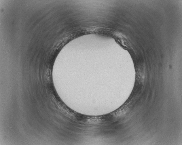 X0000060550470200511241230