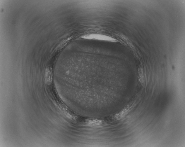 X0000060550471200511241230