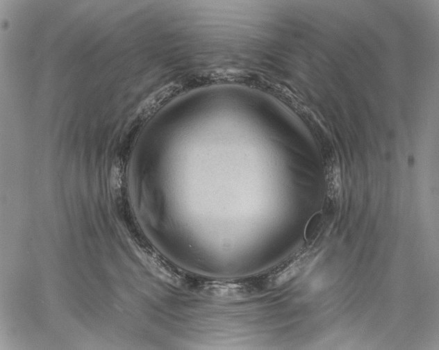 X0000060550472200511241230