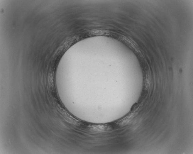 X0000060550473200511241230