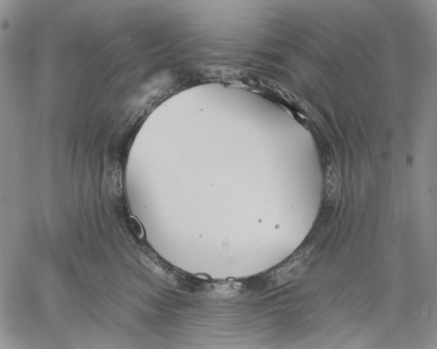 X0000060550474200511241230