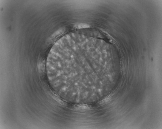 X0000060550475200511241230