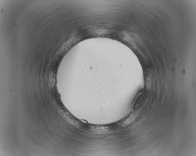 X0000060550476200511241230