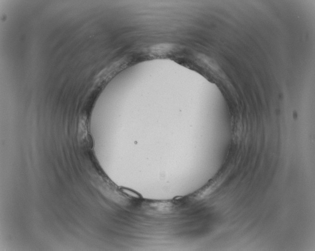 X0000060550478200511241230