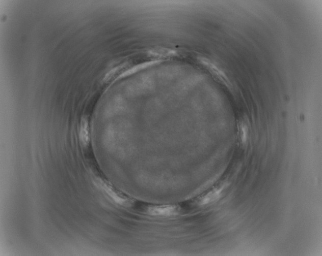 X0000060550479200511241230