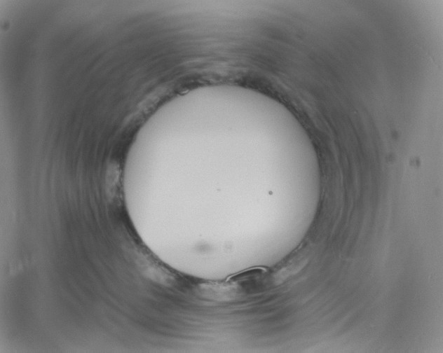 X0000060550480200511241230