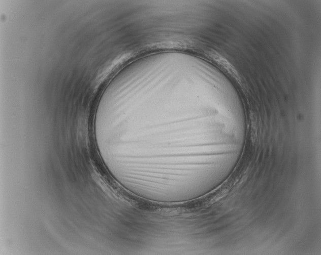 X0000060550482200511241229