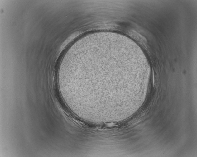 X0000060550483200511241229