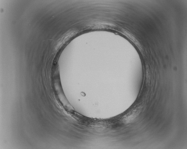 X0000060550485200511241229