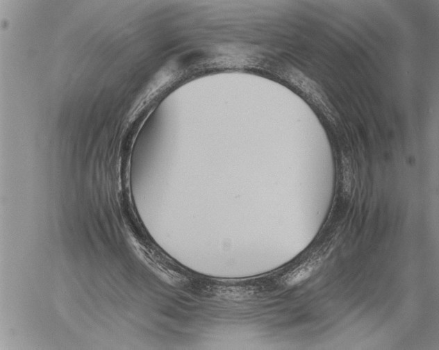 X0000060550486200511241229