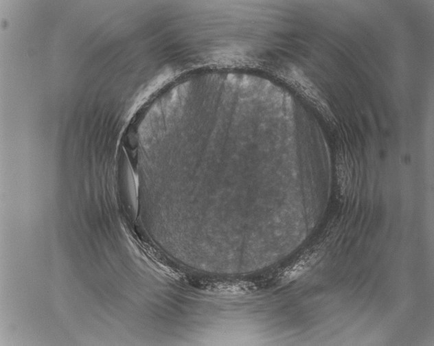 X0000060550488200511241229