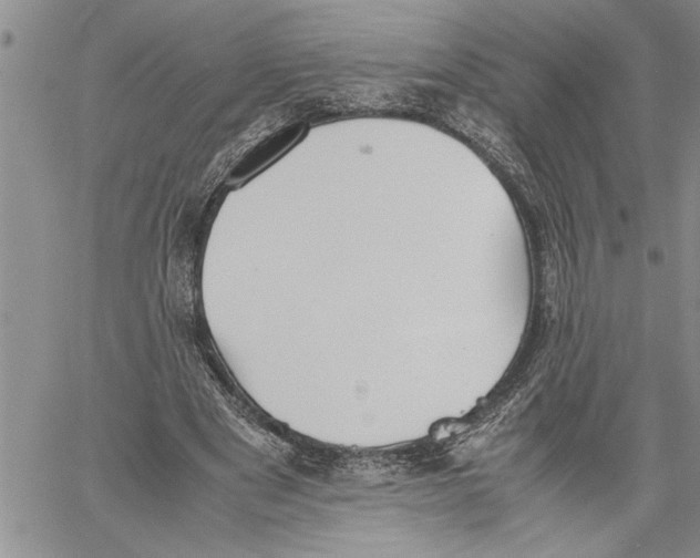 X0000060550489200511241229