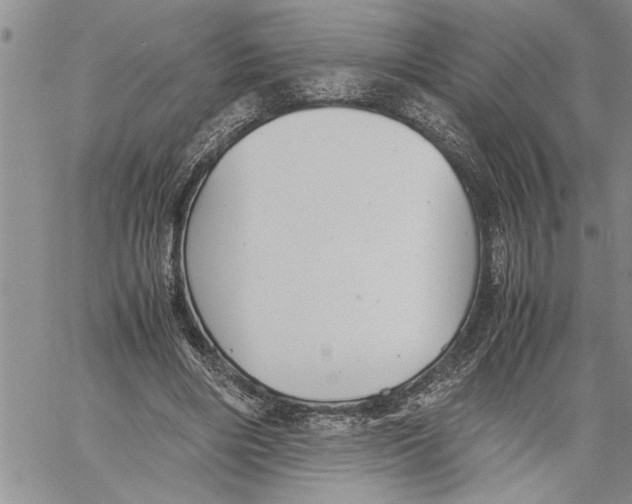 X0000060550490200511241229