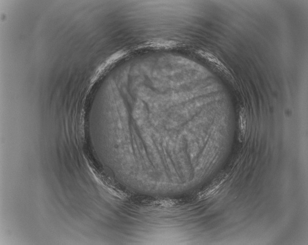 X0000060550492200511241229