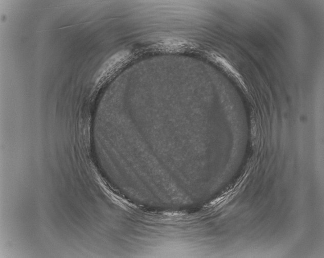 X0000060550493200511241229