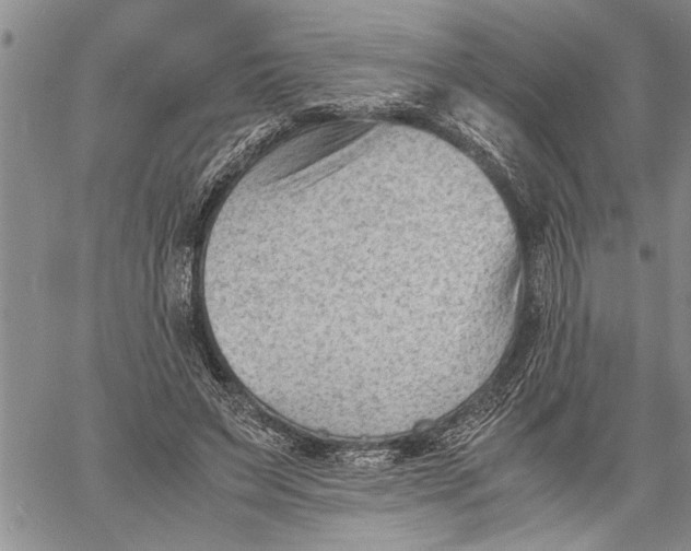 X0000060550495200511241229