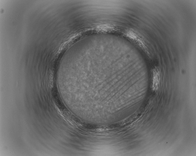 X0000060550496200511241229