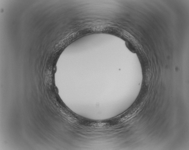 X0000060550497200511241229