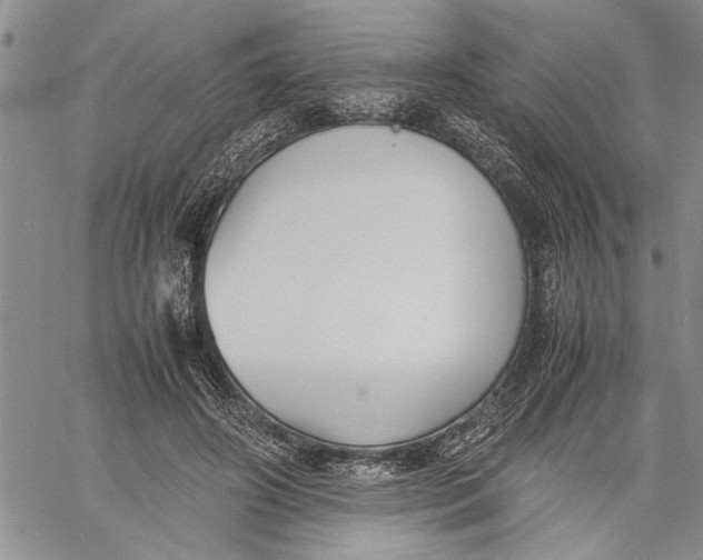 X0000060550498200511241229