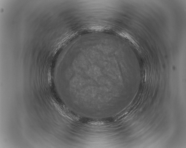 X0000060550500200511241229