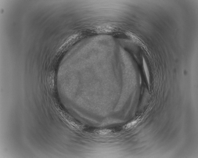 X0000060550501200511241229