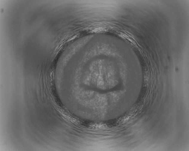 X0000060550503200511241229