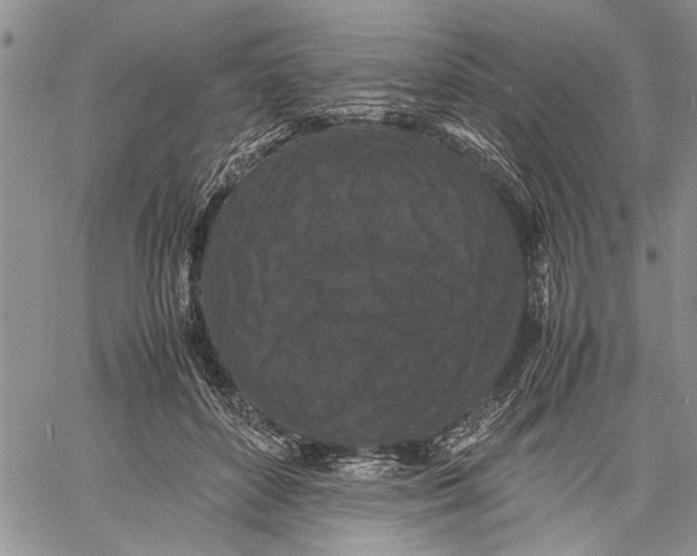 X0000060550504200511241229