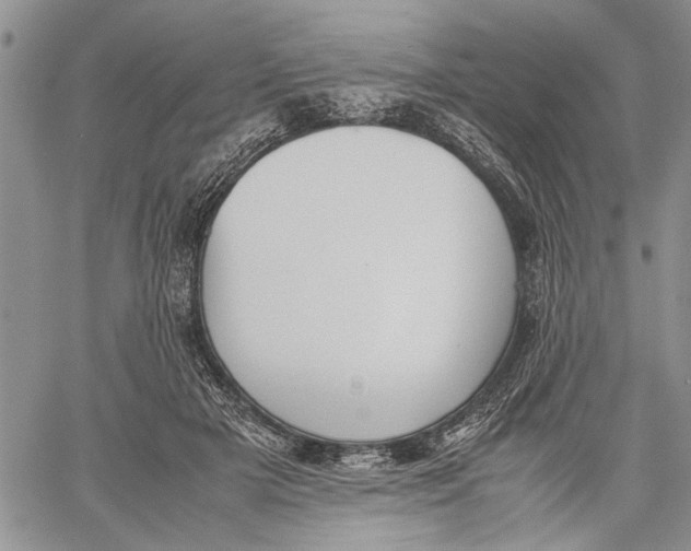 X0000060550505200511241229