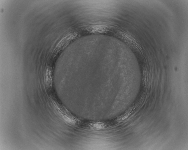 X0000060550506200511241229