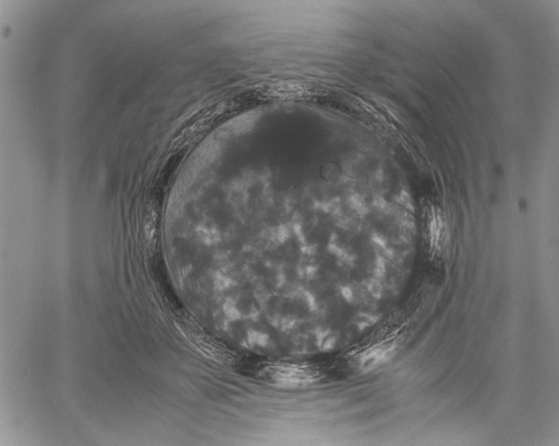 X0000060550507200511241229